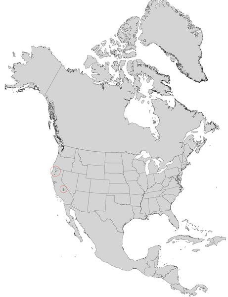 File:Pinus balfouriana range map 0.png