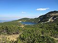 Habitat, Rila Mountains, Bulgaria