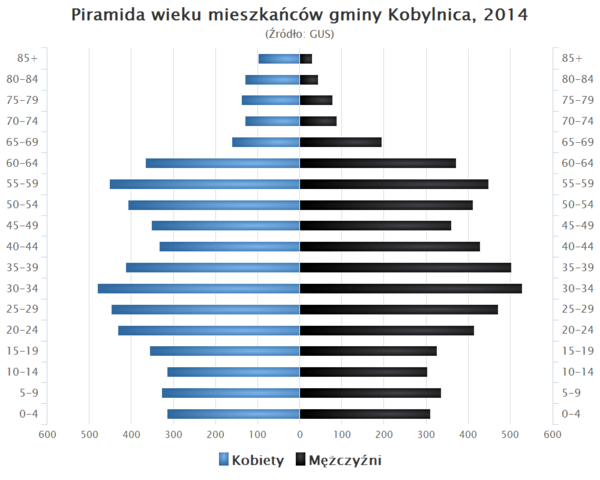 Piramida wieku Gmina Kobylnica.png