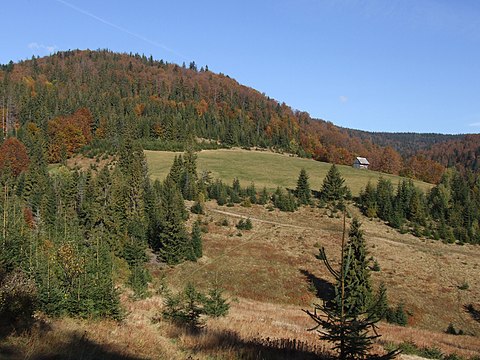 Slopes of Polana Fiedorówka