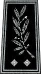 Contrôleur général, Général de brigade, Polisdirektör