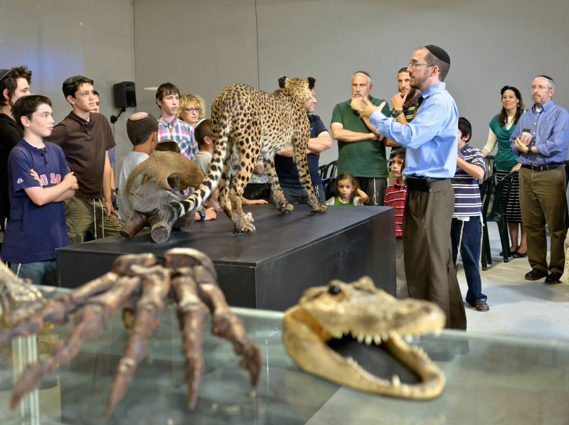 File:Predators at the Biblical Museum of Natural History.png