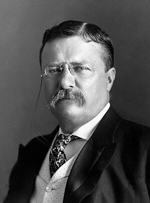 President Roosevelt - Pach Bros - black and white (cropped).jpg