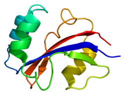 Протеин PIN4 PDB 1eq3.png