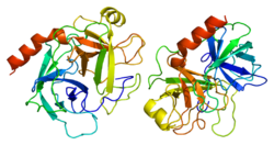 חלבון PRSS1 PDB 1trn.png