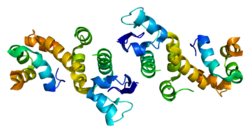 Protein SKP1A PDB 1fs1.png