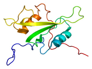 <span class="mw-page-title-main">TXK (gene)</span> Protein-coding gene in the species Homo sapiens