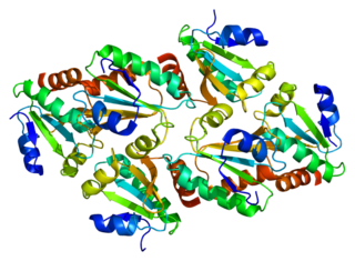 <span class="mw-page-title-main">TXN2</span> Protein-coding gene in the species Homo sapiens