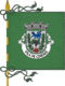 Flag of the Concelhos Cinfães