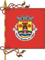 Bandeira de Miranda do Corvo