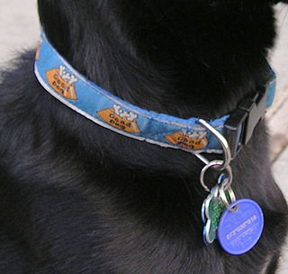 Pet tag identification tag worn by pets