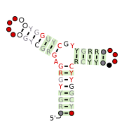 DUF3800-VI Secondary structure taken from the Rfam database. Family RF02915