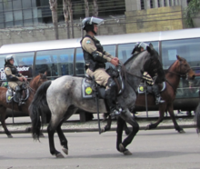 Shock policing of the Military Police of Parana RPMON - Esquadrao de Choque.png