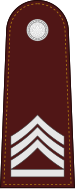 File:RTP OR-8 (Police Sergeant Major).svg