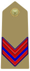 Insemnele de rang ale caporalului parașutist al Armatei Italiei (1973) .svg