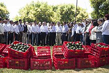 Reconocimiento al Programa de Producción y exportación del Aguacate.jpg