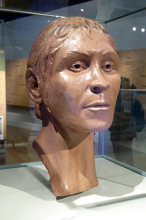 Reconstruction of the face of the Neolithic woman buried at Shepperton Henge