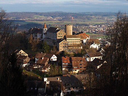 Regensberg Sicht Laegern 2014