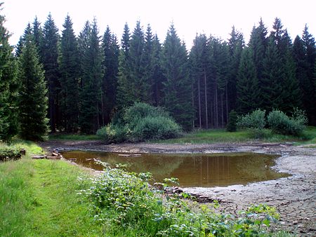 Rennsteigteich