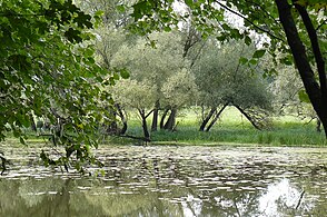 CHKO Żerkowsko-Czeszewsko