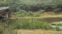 River passing under Sivasailam Bridge