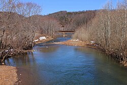 Roaring Creek looking downstream near its mouth.JPG