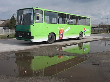 File:Romania Timisoara RATT bus (9491967823).jpg