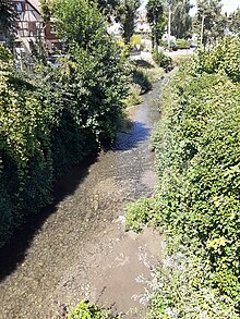 Ruisseau Feldbach.jpg