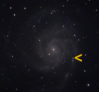 <span class="mw-page-title-main">SN 2023ixf</span> Supernova in the Pinwheel Galaxy