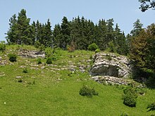 Albhochfläche mit Wacholderheide und Felsen bei Böttingen auf über 900 m Höhe auf dem Großen Heuberg; hier wachsende Fichten haben sich dem Höhenklima angepasst und besitzen eine auffallend schmale Kronenform