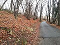 Short cut on the left, on path towards Prato Stella