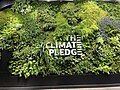 Climate Pledge Arena