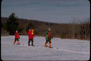 Shenandoah National Park SHEN3906.jpg