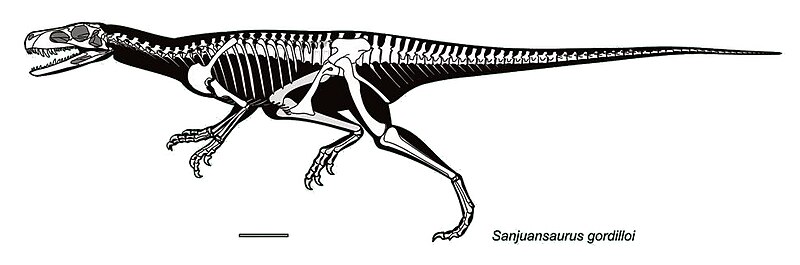 File:Silhouette reconstruction of Sanjuansaurus.jpg