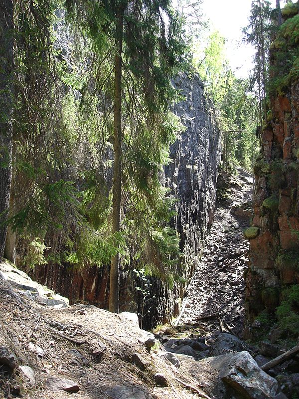 An image from a canyon in the forested Småland.