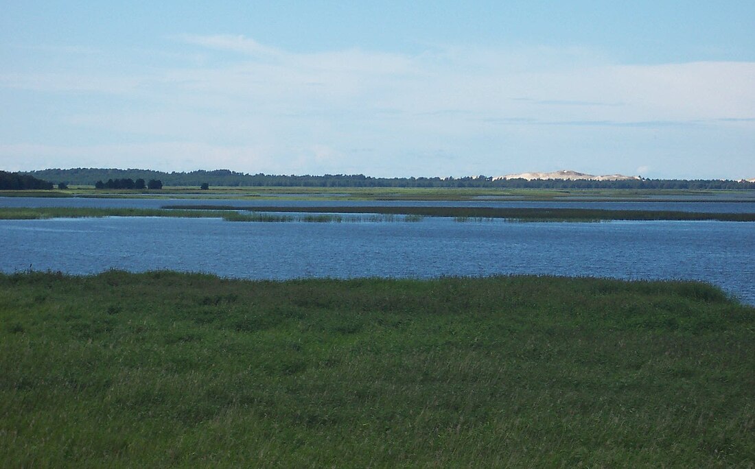 Łebsko Lake