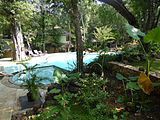 Piscine d’un hôtel touristique sri-lankais.