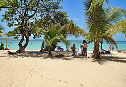 Пляж в Сент-Анне, Гваделупа