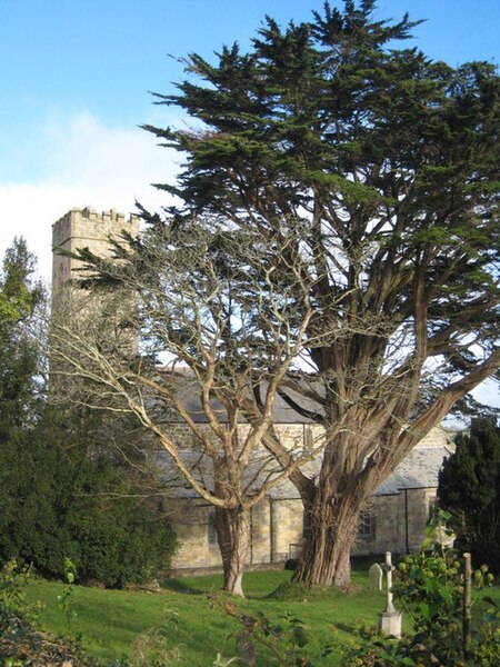 File:St Pauls Parish Church Chacewater - geograph.org.uk - 1051245.jpg