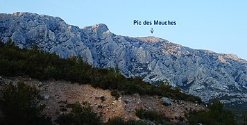 Vue du pic des Mouches depuis la face sud.