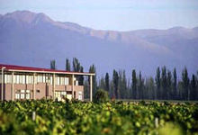 Tapiz Winery in Agrelo, Mendoza Tapiz Winery.jpg