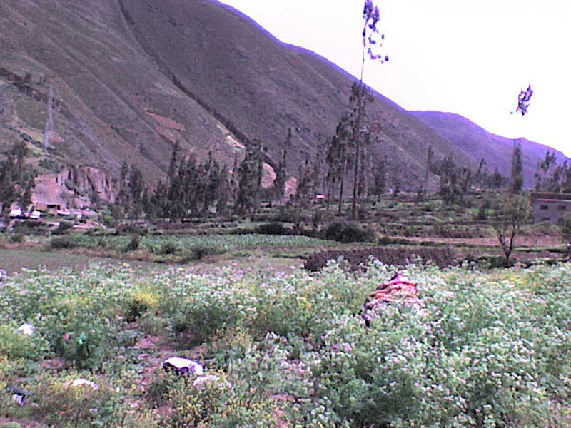 File:Tarma Province, Peru - panoramio - Tours Centro Peru (1).jpg