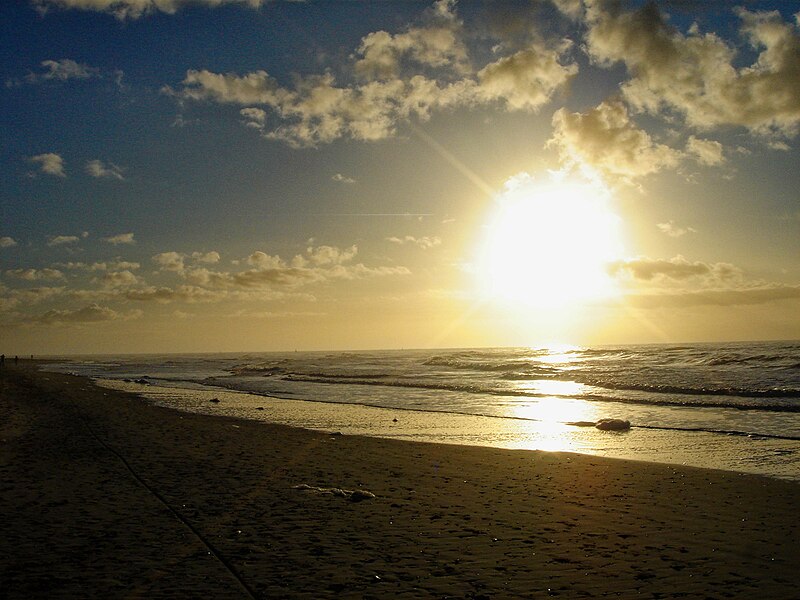 File:Texel - North Sea Beach at Strandpaviljoen Paal 9 - Winter Sun, Sea Foam, Rough Seas 10.jpg