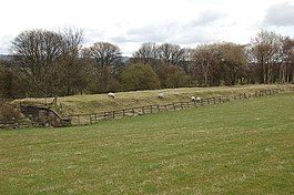 The Curse of the Beeching Axe - geograph.org.uk - 756935.jpg