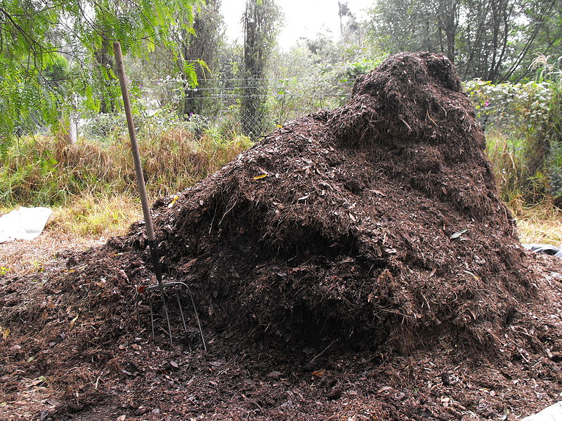 File:Tierra de hoja recolectada.JPG