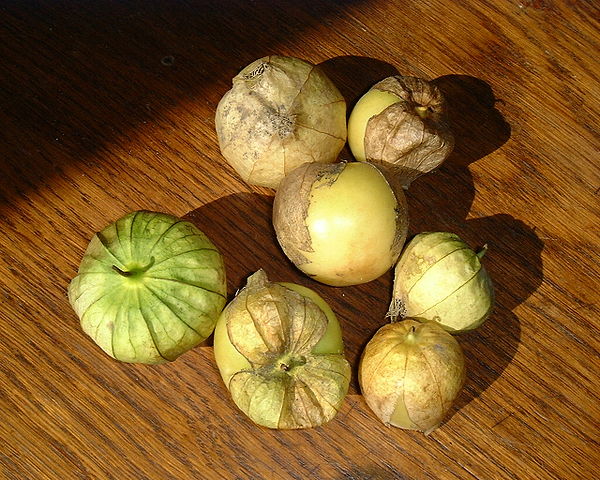 The Aztecs called (red) tomatoes xitōmatl, whereas the green tomatillo was called tōmatl; the latter is the source for the English word tomato.