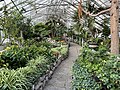 Allan Gardens Conservatory