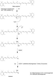 Biosynthetic pathway of tretinon Tretinon.png