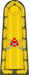 Mareşal (Turkey) (Military ranks of Turkey)