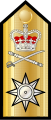 Royal Navy rear admiral shoulder board prior to 2001[2]